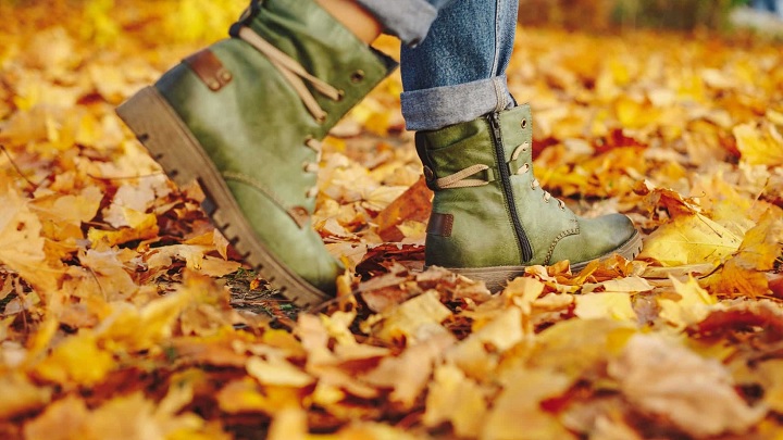 توصیههایی برای لذت بردن حداکثری از پاییز توصیههایی برای لذت بردن حداکثری از پاییز