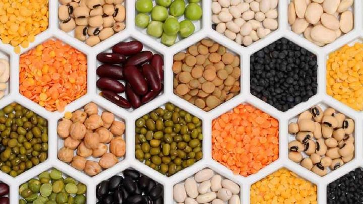روش صحیح فریز کردن حبوبات