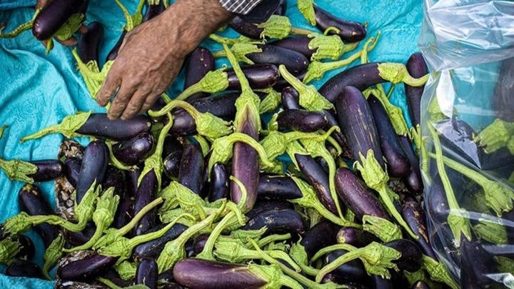 از کجا بفهمیم بادمجان خراب شده است؟