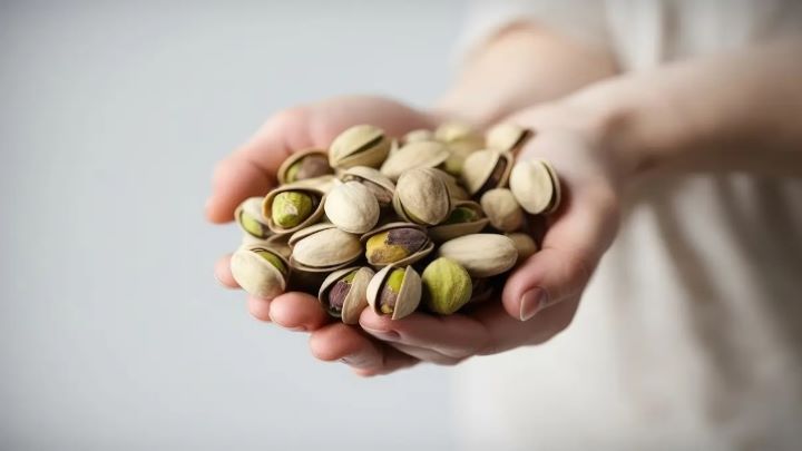 کاشت بذر پسته در بطری نوشابه