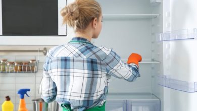 مراحل تمیز کردن فریزر؛ چگونه فریزرمان را تمیز کنیم؟ + نکات مهم