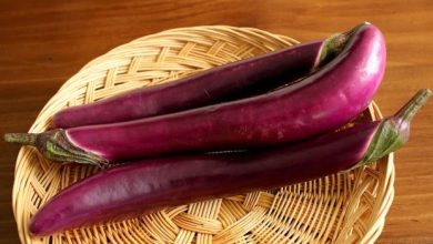 طرز تهیه معجون لاغری با بادمجان