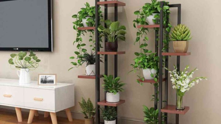 چیدمان گل طبیعی کنار تلویزیون