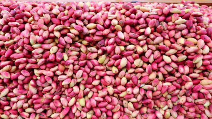 کاربرد پوست پسته تازه