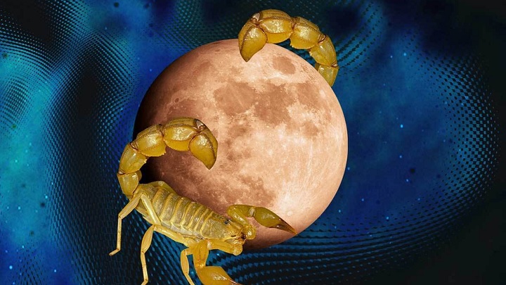 انجام دادن کدام کارها در روزهای قمر در عقرب ممنوع است؟