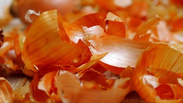 کاربرد پوست سیر و پیاز