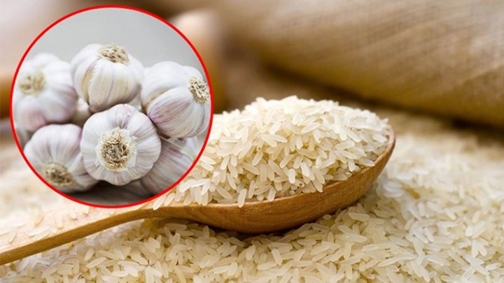 روشهای از بین بردن شپشک برنج روشهای از بین بردن شپشک برنج