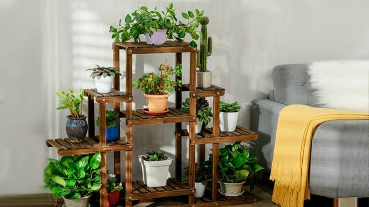 جدیدترین شلف دیواری گلدان