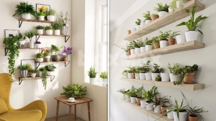 جدیدترین شلف دیواری گلدان