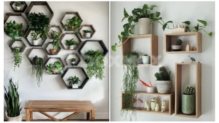 جدیدترین شلف دیواری گلدان