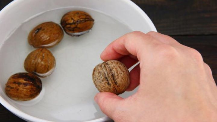 گردوها را خیس کنید گردوها را خیس کنید