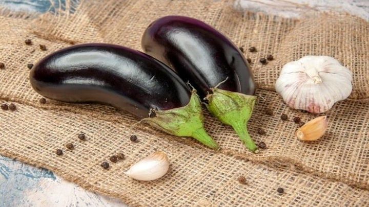 تشخیص بادمجان خراب