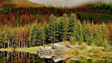 11 پیشنهاد برای سفر یک روزه در پاییز