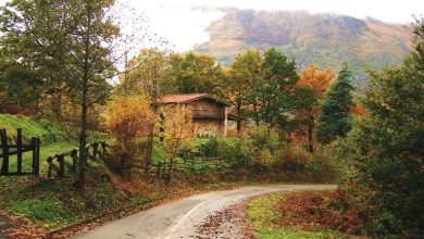 اگر پاییز به گیلان رفتید این 7 لوکیشن را حتما بروید