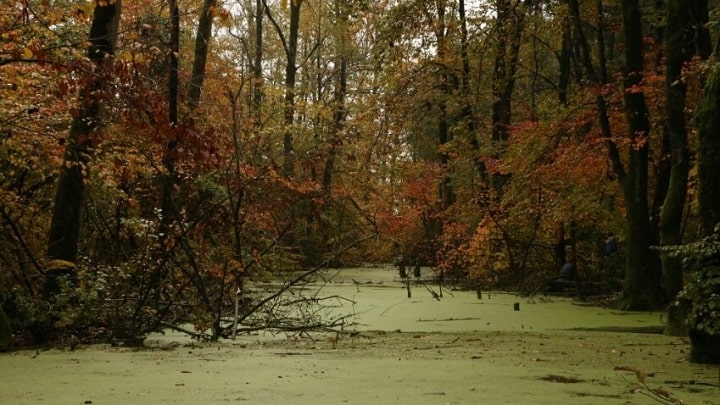 پارک جنگلی سراوان پارک جنگلی سراوان