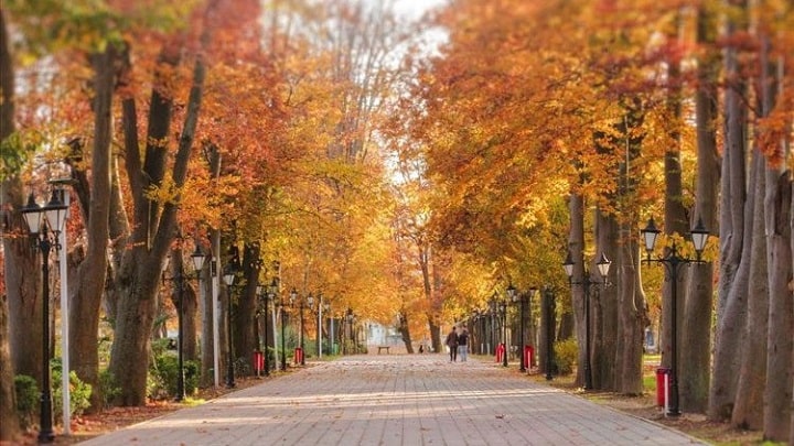 باغ محتشم باغ محتشم