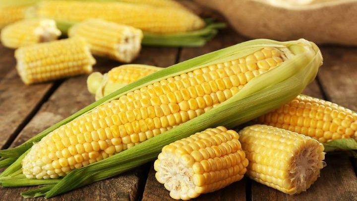 چگونه ذرت را بپزیم که سفت نشود؟ چگونه ذرت را بپزیم که سفت نشود؟