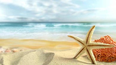 راهنمای سفر به ساحل دلوار بوشهر؛ مقصدی برای آرامش