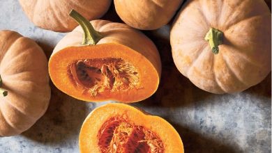 راهنمای خرید کدو حلوایی مرغوب؛ نکاتی که باید بدانید