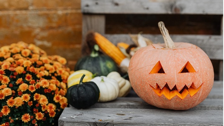 جشن هالووین چیست؟ جشن هالووین چیست؟