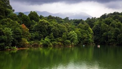 همه چیز درباره نوشهر و سفر به آن؛ بهشتی برای آرامش