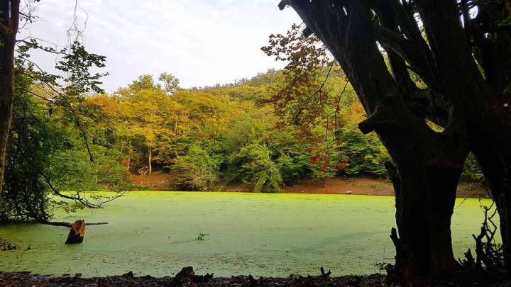 مکانهای دیدنی در پاییز مکانهای دیدنی در پاییز