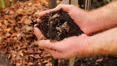 ساخت کود کمپوست با برگهای پاییزی برای گیاهان