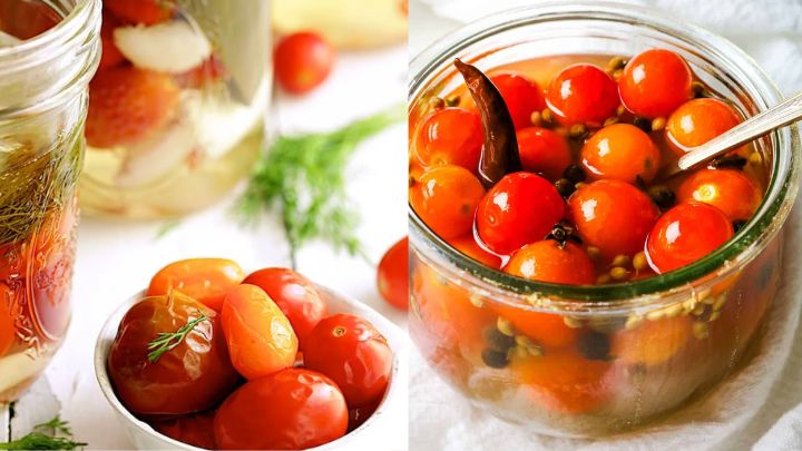 نکات مهم در تهیه ترشی گوجه گیلاسی نکات مهم در تهیه ترشی گوجه گیلاسی