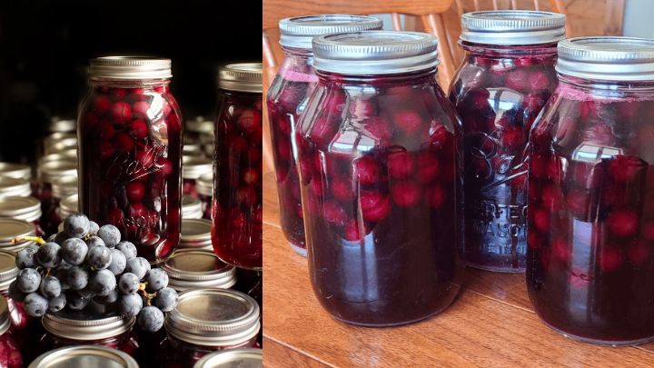 نکات و فوت و فن‌های تهیه ترشی انگور شانی