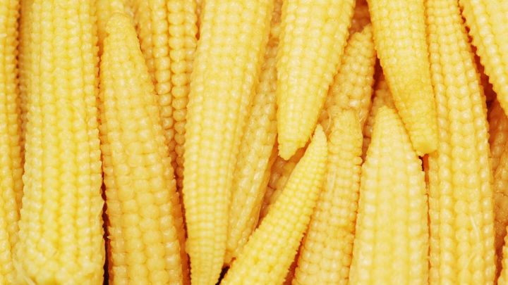 نکات و فوت و فن‌های تهیه شور بچه بلال