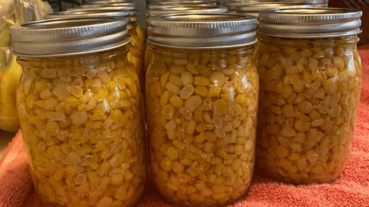 با این روش یک کنسرو خوشمزه از ذرت تهیه کنید با این روش یک کنسرو خوشمزه از ذرت تهیه کنید