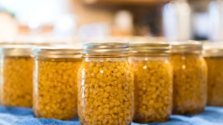 مراحل تهیه کنسرو ذرت خانگی مراحل تهیه کنسرو ذرت خانگی