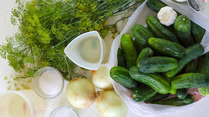 رسپی خیارشور خوشمزه به صورت دبه‌ای