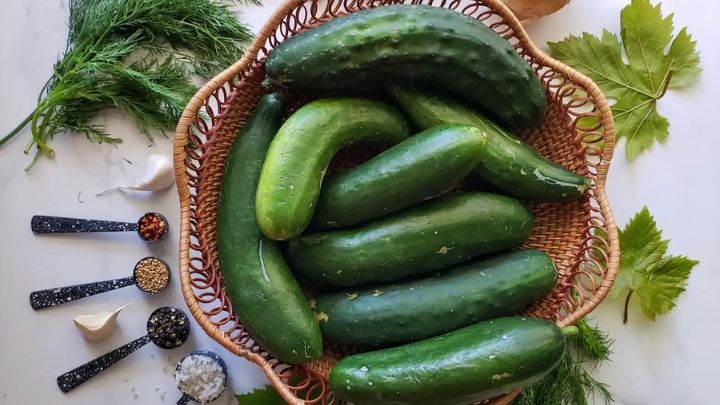 نکات و فوت و فن‌های تهیه خیارشور دبه‌ای 5 و 10 کیلویی