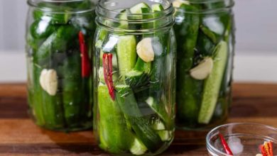 طرز تهیه خیارشور دبهای ترد و خوشمزه؛ 5 و 10 کیلویی