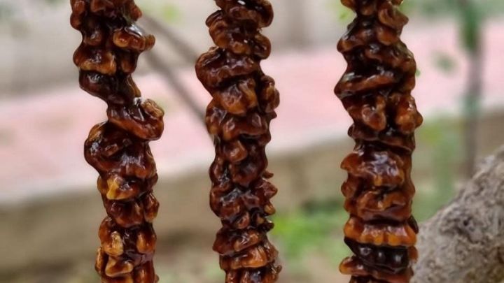 رسپی سوجوق انار به سادهترین شکل ممکن رسپی سوجوق انار به سادهترین شکل ممکن