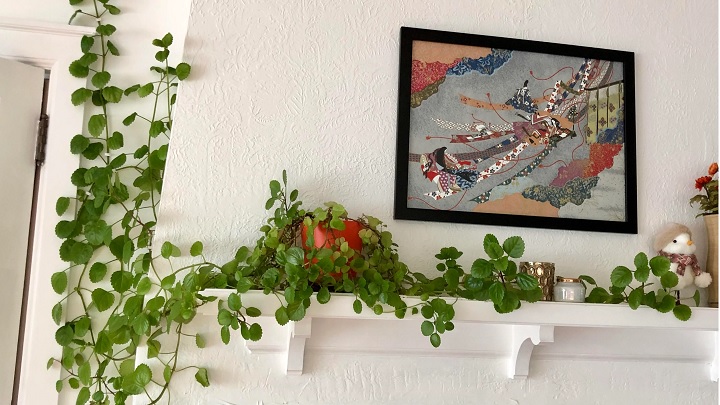 محبوبترین گیاهان رونده آپارتمانی محبوبترین گیاهان رونده آپارتمانی