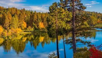 جاهای دیدنی چالوس در فصل پاییز (دریاچهها و مردابهای زیبا)