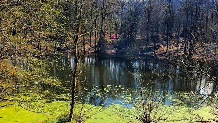 مرداب کندوچال از جاهای دیدنی چالوس در فصل پاییز