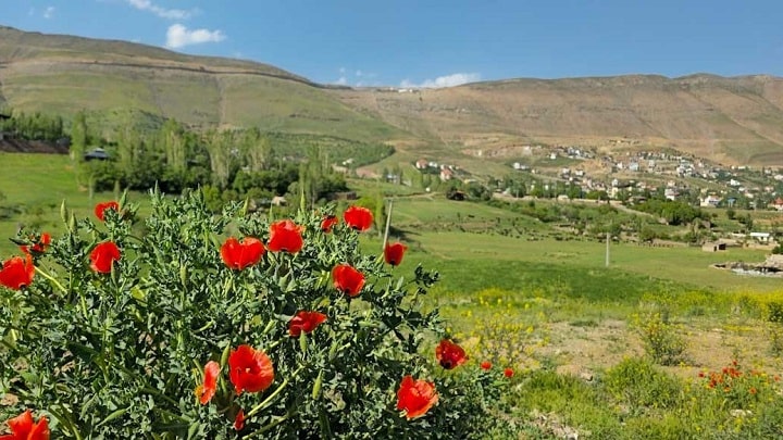 دماوند؛ بهشتی در دامنه آتشفشان دماوند؛ بهشتی در دامنه آتشفشان