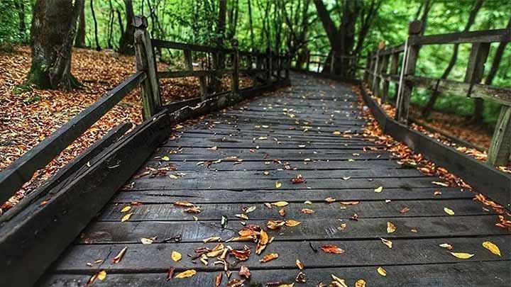 معرفی پارک جنگلی جوارم معرفی پارک جنگلی جوارم