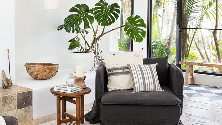 زیباترین مدلهای گل بزرگ آپارتمانی زیباترین مدلهای گل بزرگ آپارتمانی