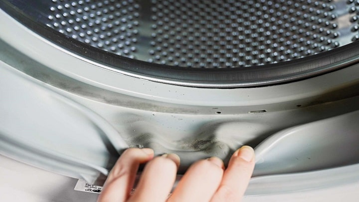 علت رشد کپک در ماشین لباسشویی علت رشد کپک در ماشین لباسشویی