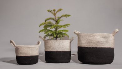 گلدان‌های دکوراتیو کنفی؛ طراوت طبیعت با ظرافت هنر