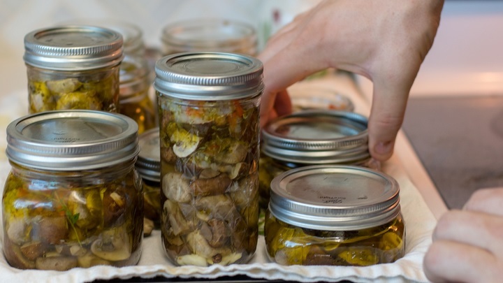 مراحل تهیه ترشی قارچ و روغن زیتون