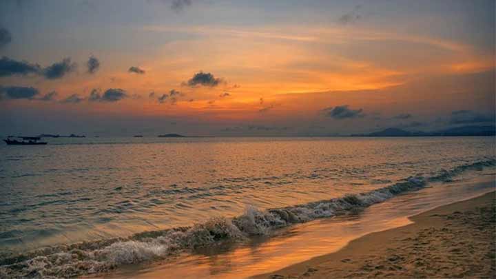 درباره ساحل ریشهر