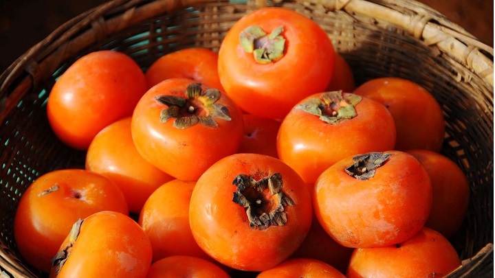 چه خرمالویی بخریم؟ یک راهنمای جامع چه خرمالویی بخریم؟ یک راهنمای جامع