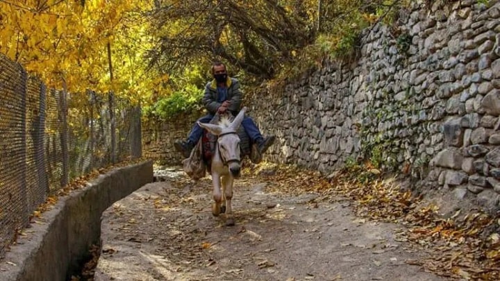 فرار از شلوغی شهر به آرامش روستای آهار فرار از شلوغی شهر به آرامش روستای آهار