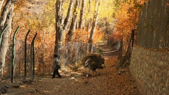 آهار: روستایی با طبیعت بکر و تاریخ کهن آهار: روستایی با طبیعت بکر و تاریخ کهن