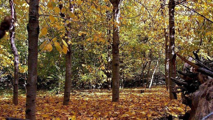 کوهنوردی، عکاسی، پیک نیک: تفریحات پاییزی در آهار کوهنوردی، عکاسی، پیک نیک: تفریحات پاییزی در آهار